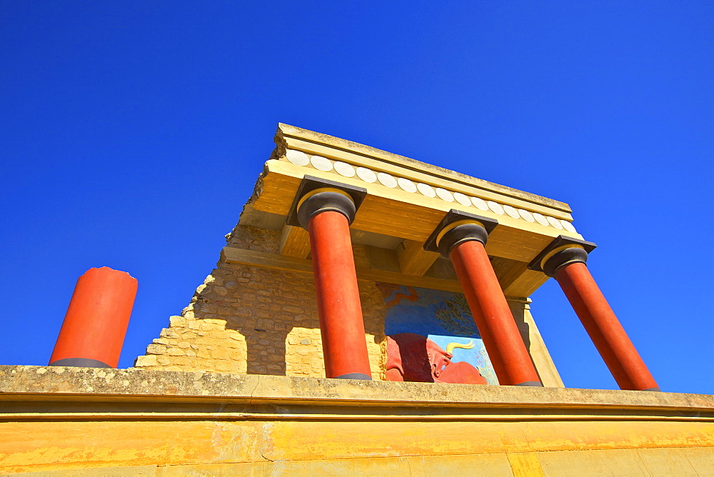 Charging Bull and Olive Tree Fresco, The Minoan Palace of Knossos, Knossos, Heraklion, Crete, Greek Islands, Greece, Europe