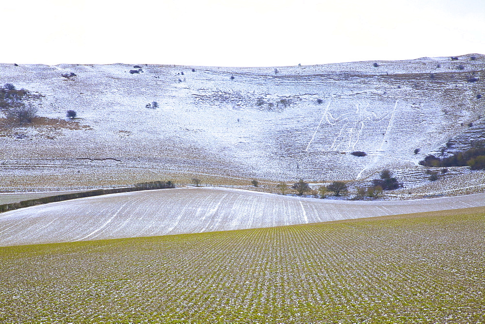 Snow covered Long Man of Wilmington, Wilmington, South Downs, East Sussex, England, United Kingdom, Europe