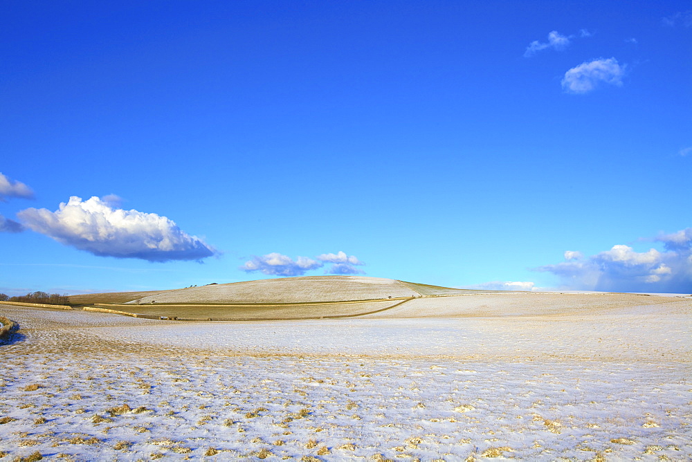 Snow covered South Downs farm land, East Dean, East Sussex, England, United Kingdom, Europe