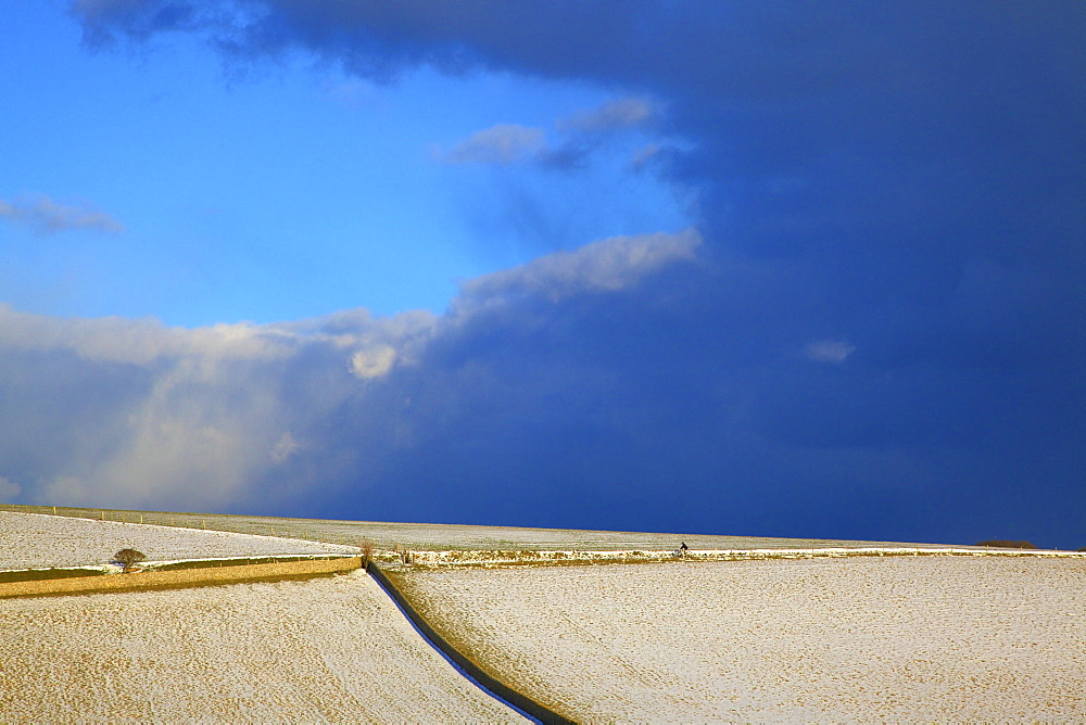 Snow covered South Downs farm land, East Dean, East Sussex, England, United Kingdom, Europe