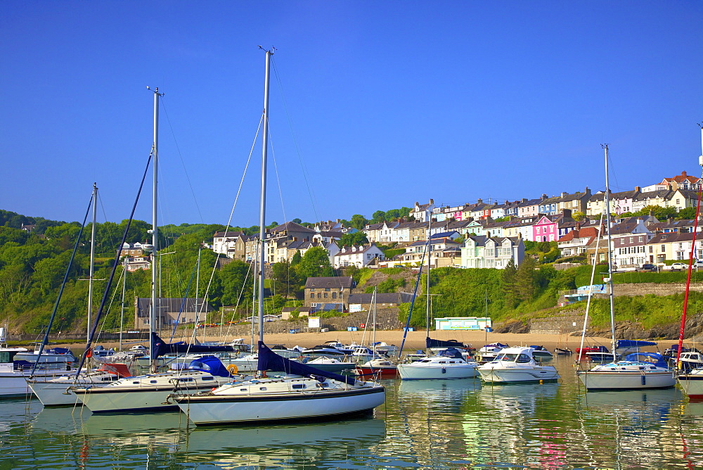 The Harbour at New Quay, Cardigan Bay, Wales, United Kingdom, Europe