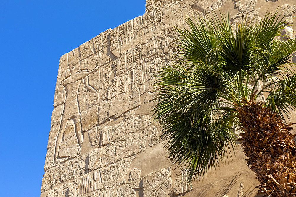 Stone Carvings and Hieroglyphs at Karnak Temple, Luxor, Thebes, UNESCO World Heritage Site, Egypt, North Africa, Africa