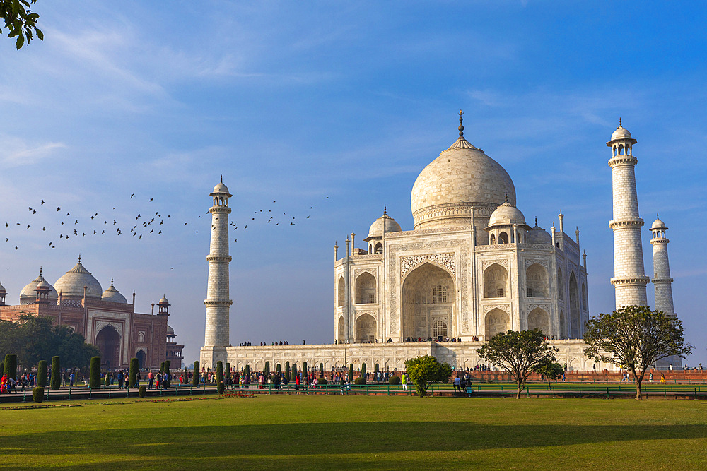 Taj Mahal, UNESCO World Heritage Site, Agra, Uttar Pradesh, India, South Asia, Asia