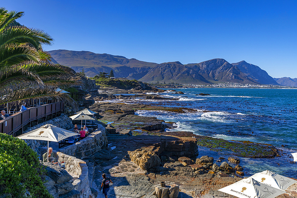 Restaurant, Walker Bay, Hermanus, Western Cape Province, South Africa, Africa