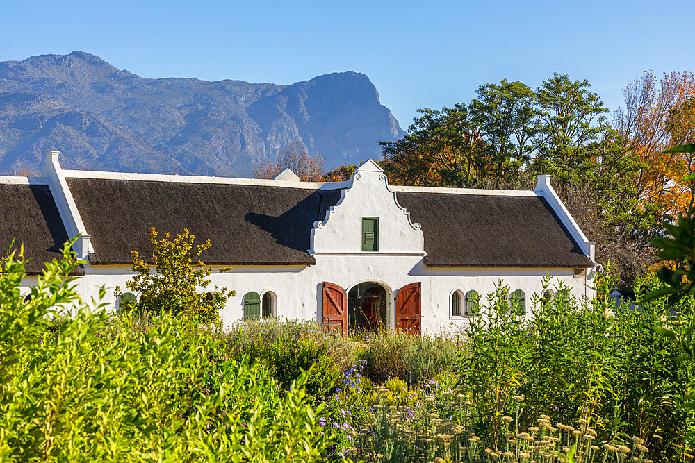 La Motte Wine Estate, Franschhoek Valley, Franschhoek, Western Cape Province, South Africa, Africa