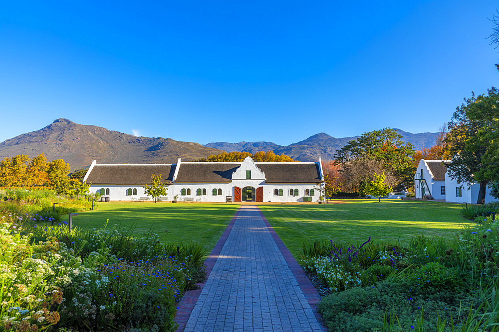 La Motte Wine Estate, Franschhoek Valley, Franschhoek, Western Cape Province, South Africa, Africa