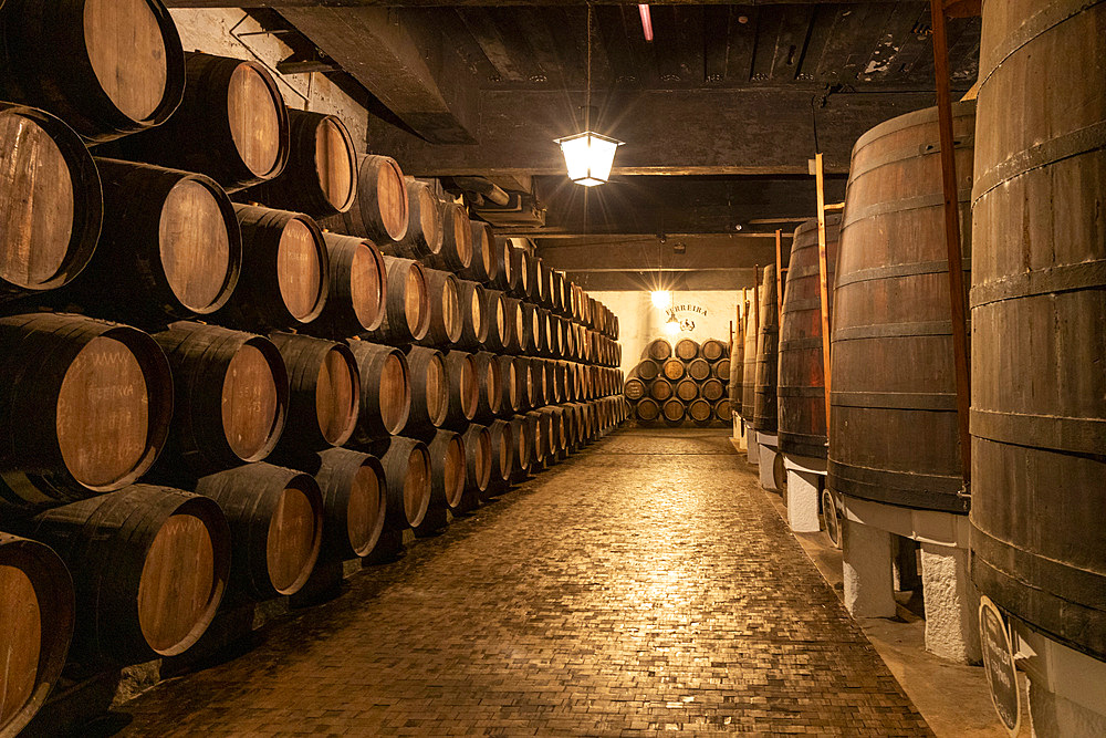 Port Cellars at Porto Ferreira, Porto, Norte, Portugal, Europe