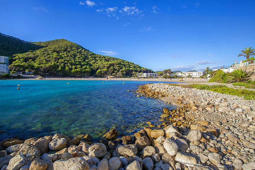 Beach at Cala Llonga, Ibiza, Balearic Islands, Spain, Mediterranean, Europe