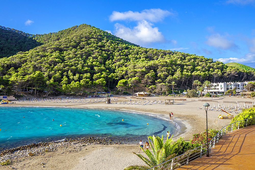 Beach at Cala Llonga, Ibiza, Balearic Islands, Spain, Mediterranean, Europe