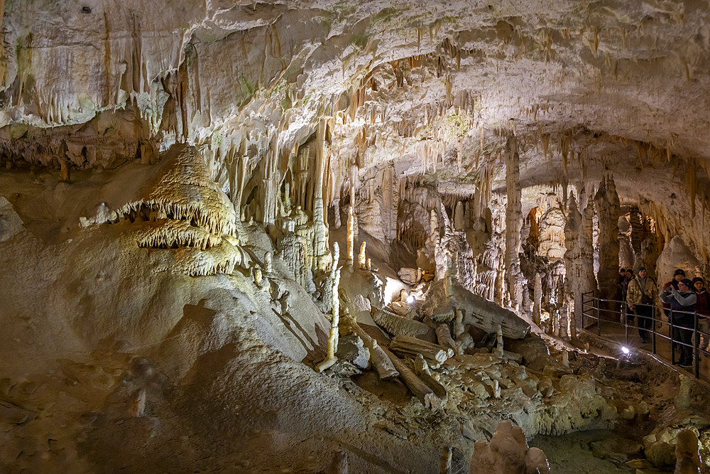 Postojna Caves, Postojna, Slovenia, Eastern Europe