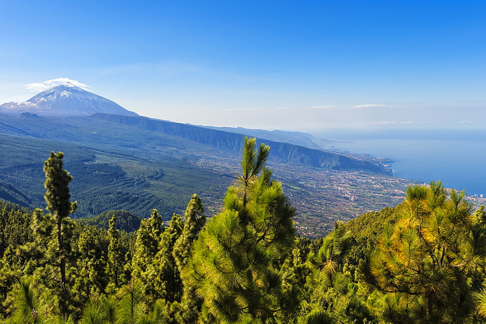 View over the Teide volcano and Teide National Park, UNESCO World Heritage Site, Tenerife, Canary Islands, Spain, Europe