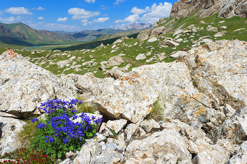 Kurumduk valley, Kel-Suu lake, Naryn province, Kyrgyzstan, Central Asia, Asia