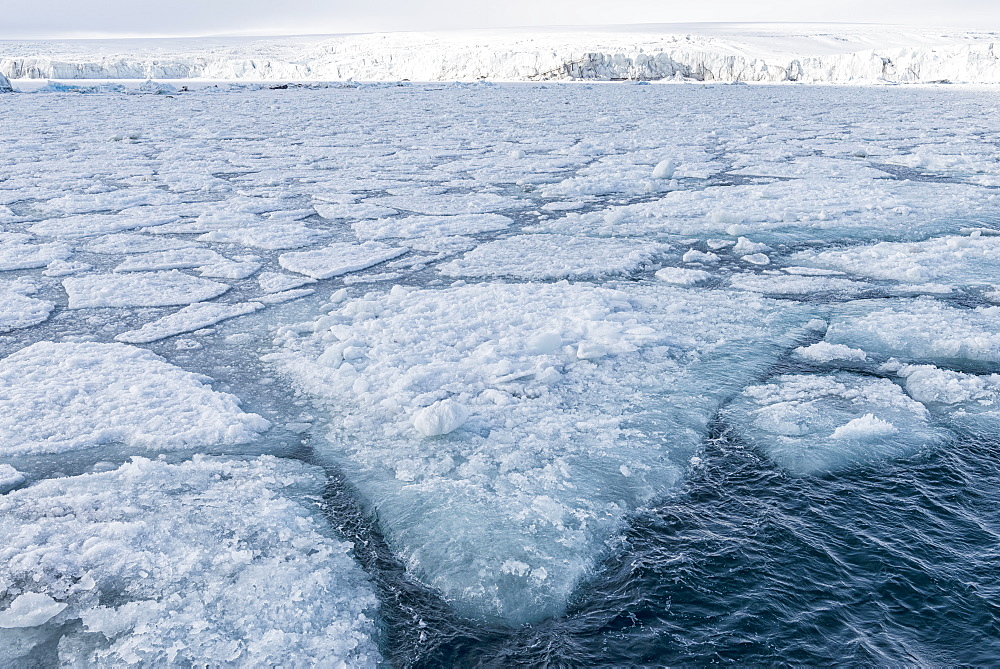 Palanderbukta Bay, pack ice pattern, Gustav Adolf Land, Nordaustlandet, Svalbard archipelago, Arctic, Norway, Europe