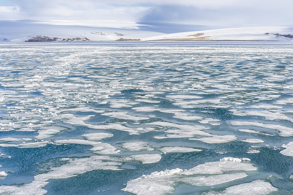 Palanderbukta Bay, pack ice pattern, Gustav Adolf Land, Nordaustlandet, Svalbard archipelago, Arctic, Norway, Europe