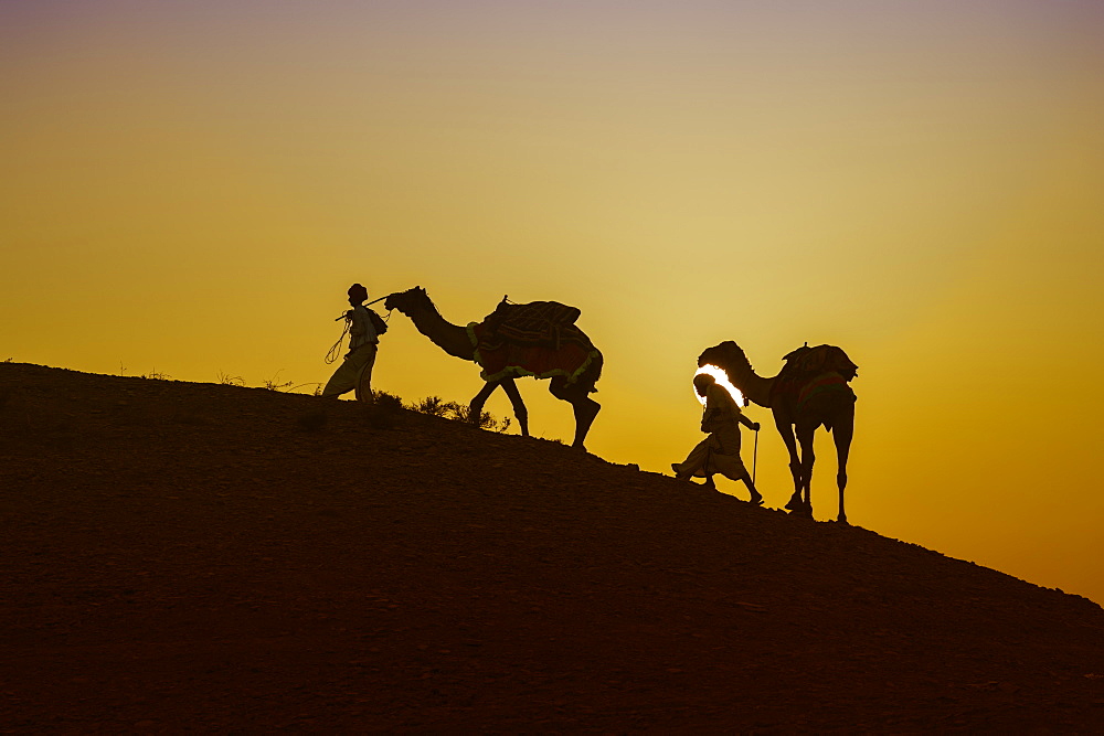 Two Rabari men climbing a dune with their dromedaries at sunset, Great Rann of Kutch Desert, Gujarat, India, Asia