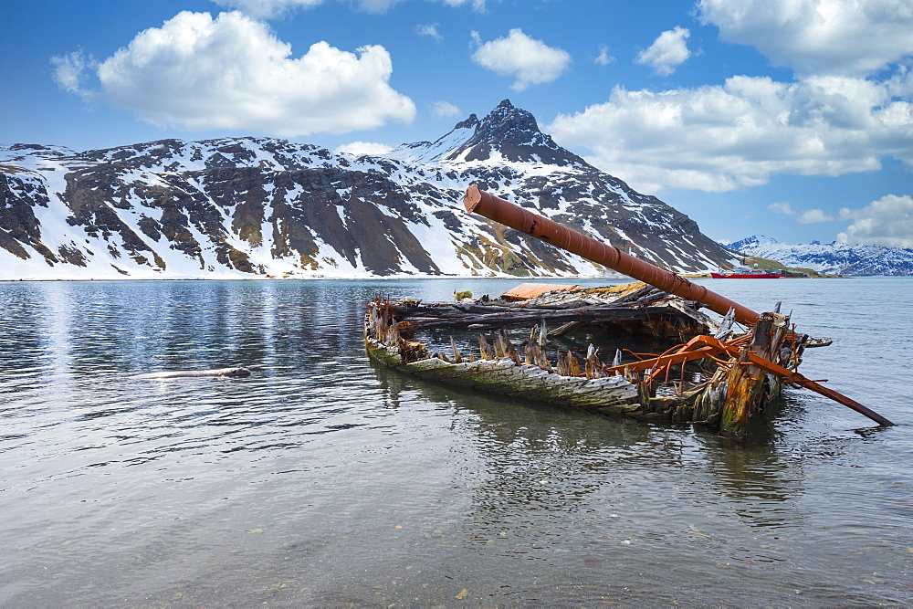 Whaleboat Louise wreck, former Grytviken whaling station, King Edward Cove, South Georgia and the Sandwich Islands, Antarctica, Polar Regions