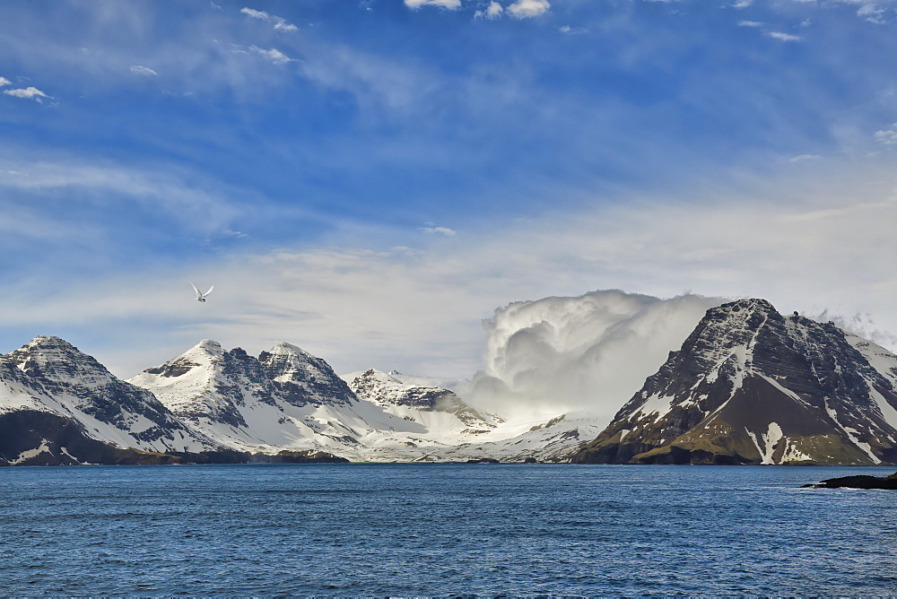 Snow covered mountains, Prion Island, South Georgia, South Georgia and the Sandwich Islands, Antarctica, Polar Regions