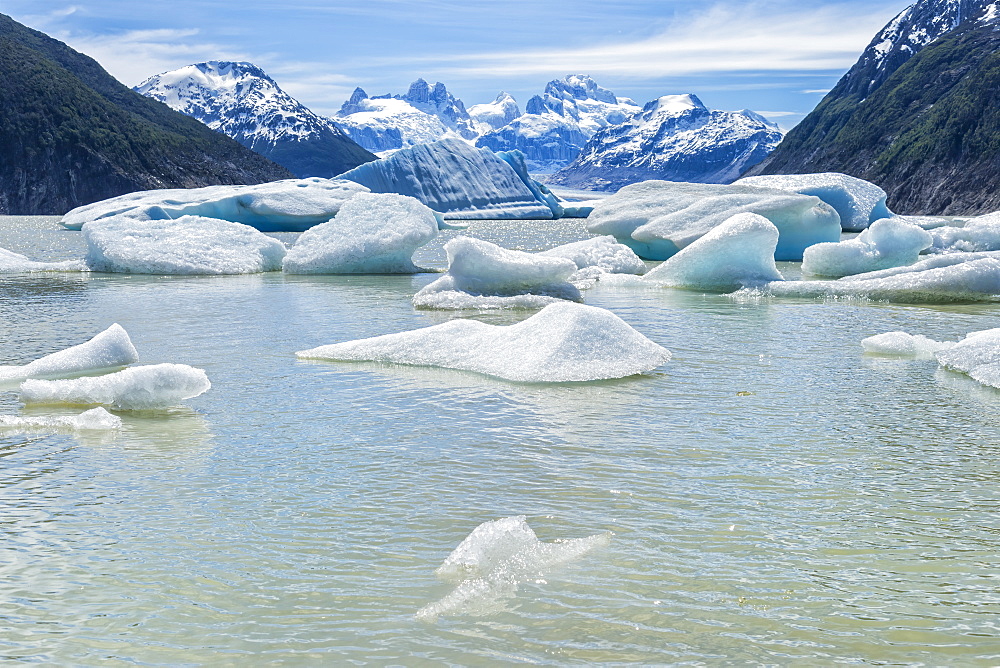 Glacial lake with small icebergs floating, Laguna San Rafael National Park, Aysen Region, Patagonia, Chile, South America