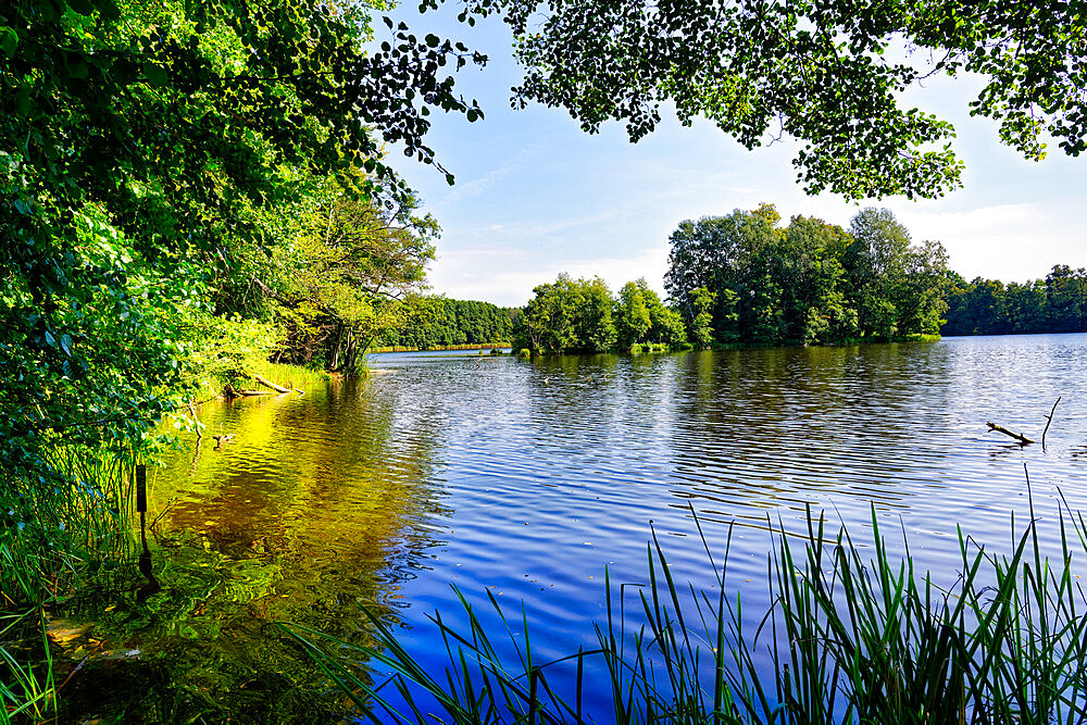 Lake Amts surrounded by forest, Biosphere reserve Schorfheide-Chorin, Brandenburg, Germany, Europe