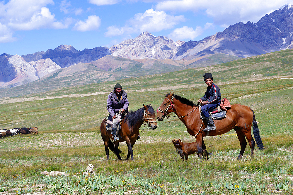 Kyrgyz nomads and sheep herd, Tian Shan mountains near the Chinese border, Naryn Region, Kyrgyzstan, Central Asia, Asia