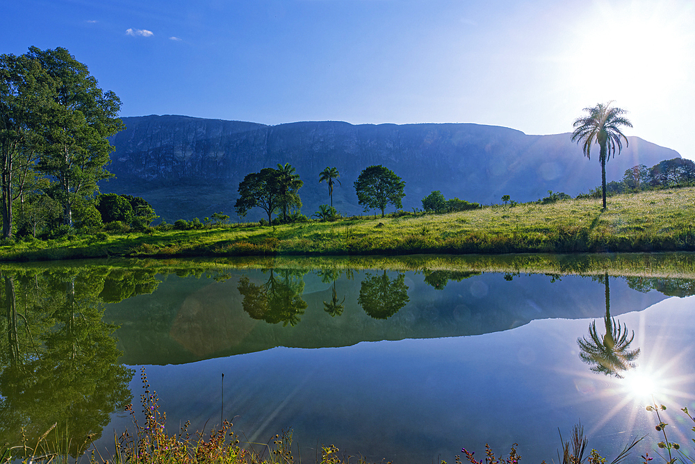 Trees reflecting in a pond, Serra da Canastra, Minas Gerais state, Brazil, South America