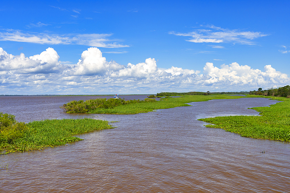 Waterways on the Rio Negro, Manaus, Amazonas State, Brazil, South America