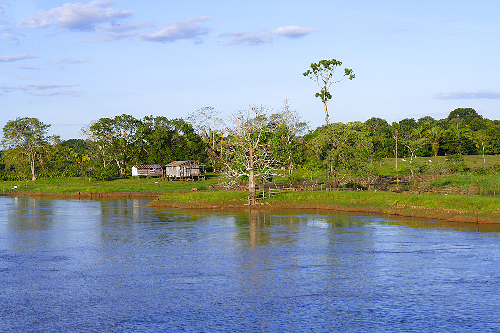 Wooden houses on stilts in the flooded forest along the Madeira River, Amazonas state, Brazil, South America