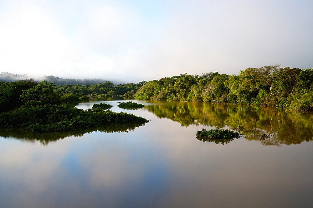 Morning fog on the Amana River, an Amazon tributary, Amazonas state, Brazil