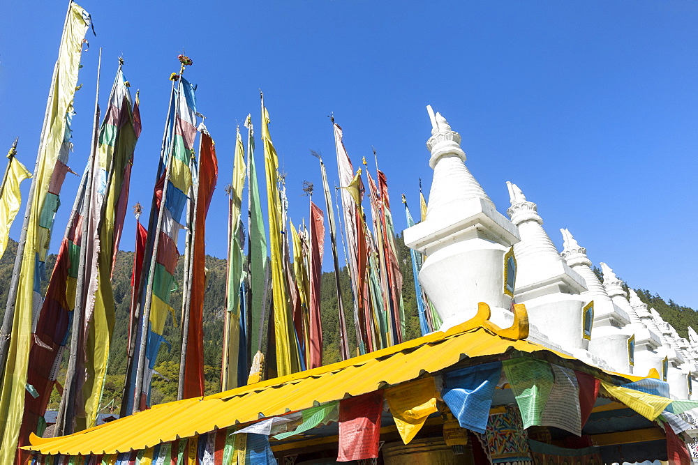 Stupas and flags at Shuzheng Tibetan village, Jiuzhaigou National Park, UNESCO World Heritage Site, Sichuan Province, China, Asia