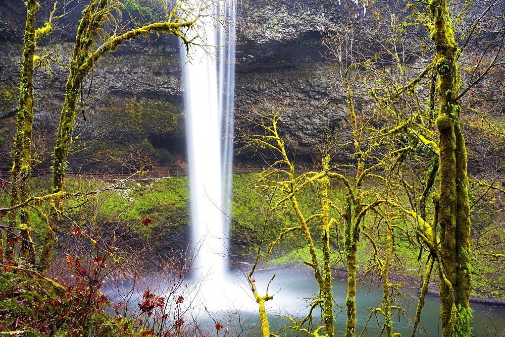 South Falls, Silver Falls State Park, Oregon, United States of America, North America