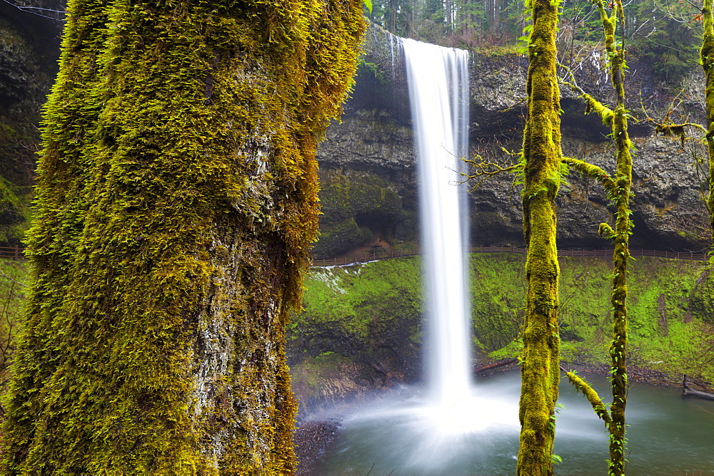 South Falls, Silver Falls State Park, Oregon, United States of America, North America