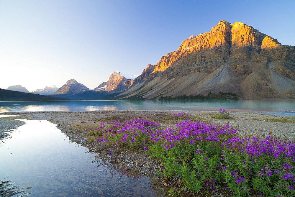 Bow Lake at sunrise, Banff National Park, UNESCO World Heritage Site, Alberta, Rocky Mountains, Canada, North America