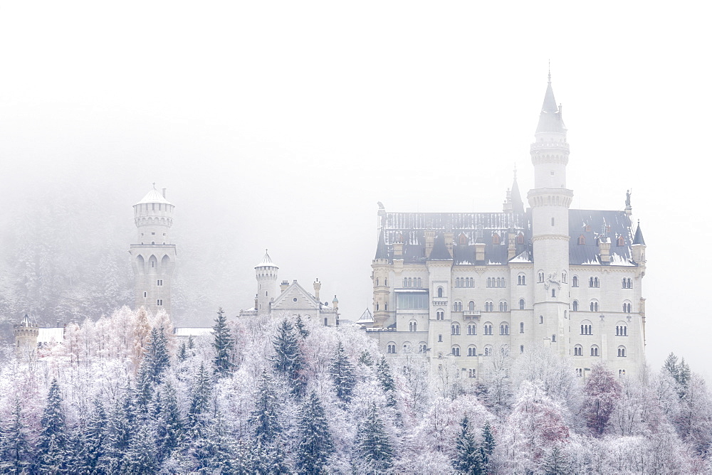 Neuschwanstein Castle in winter, Fussen, Bavaria, Germany, Europe