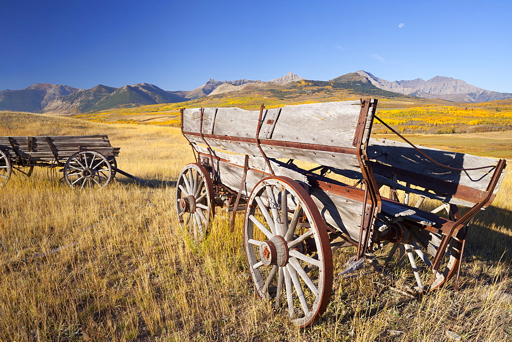 Old horse-drawn wagons with the Rocky Mountains in the background, near Waterton Lakes National Park, Alberta, Canada, North America