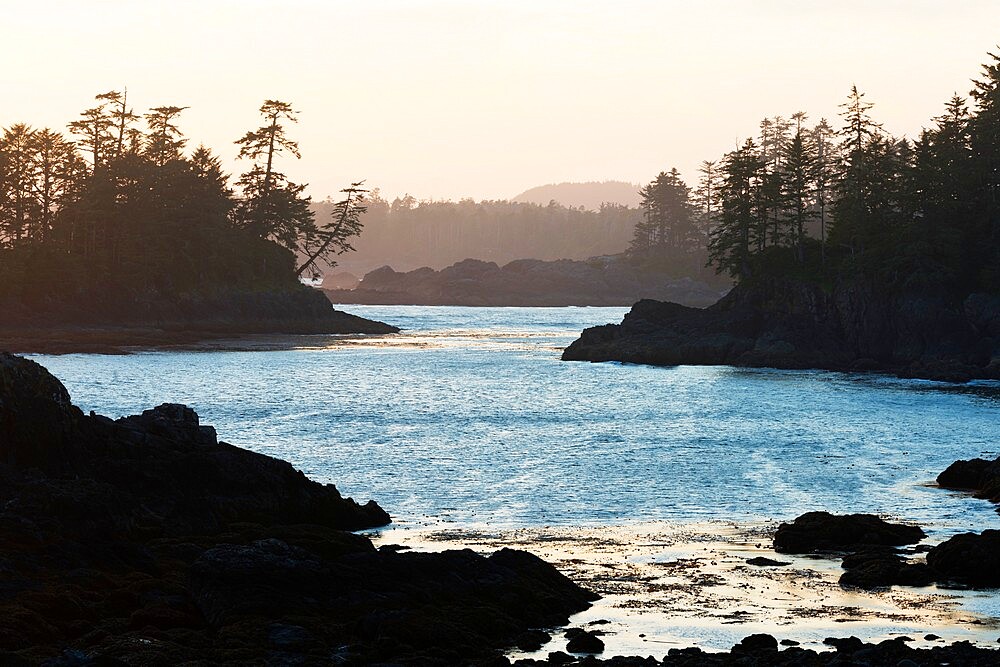 Seashore at Ucluelet, Vancouver Island, British Columbia, Canada, North America