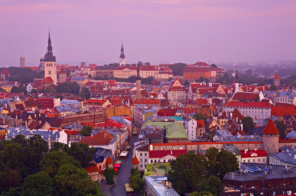 Elevated view over Old Town at dawn, Tallinn, Estonia, Europe