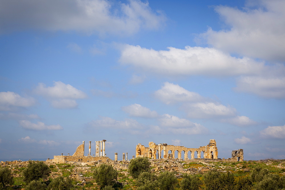 Volubilis, UNESCO World Heritage Site, Morocco, North Africa, Africa