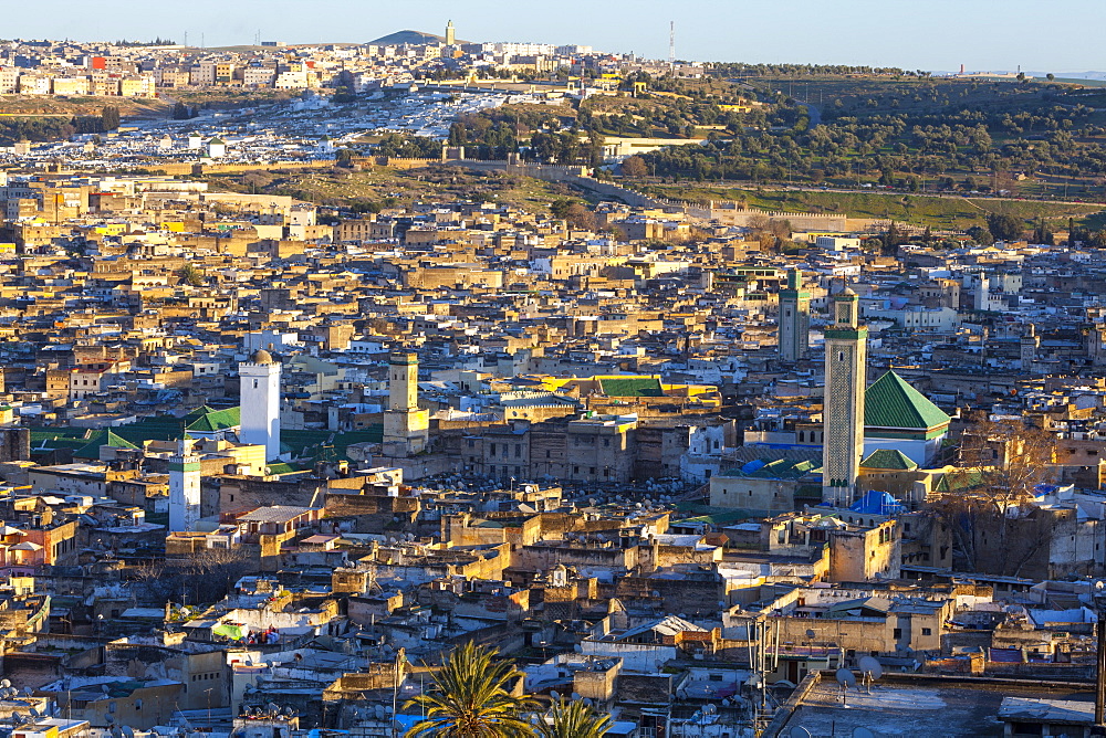 Elevated view across the Old Medina of Fes, UNESCO World Heritage Site, Fez, Morocco, North Africa, Africa