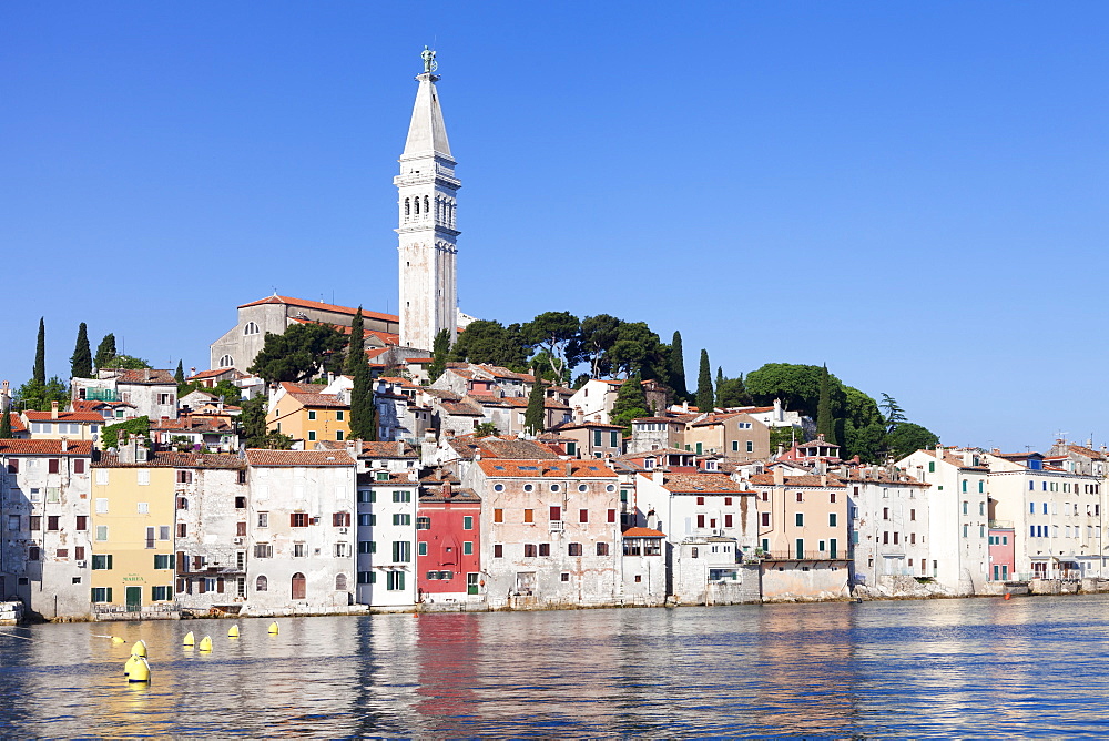 Old town and the cathedral of St. Euphemia, Rovinj, Istria, Croatia, Adriatic, Europe 