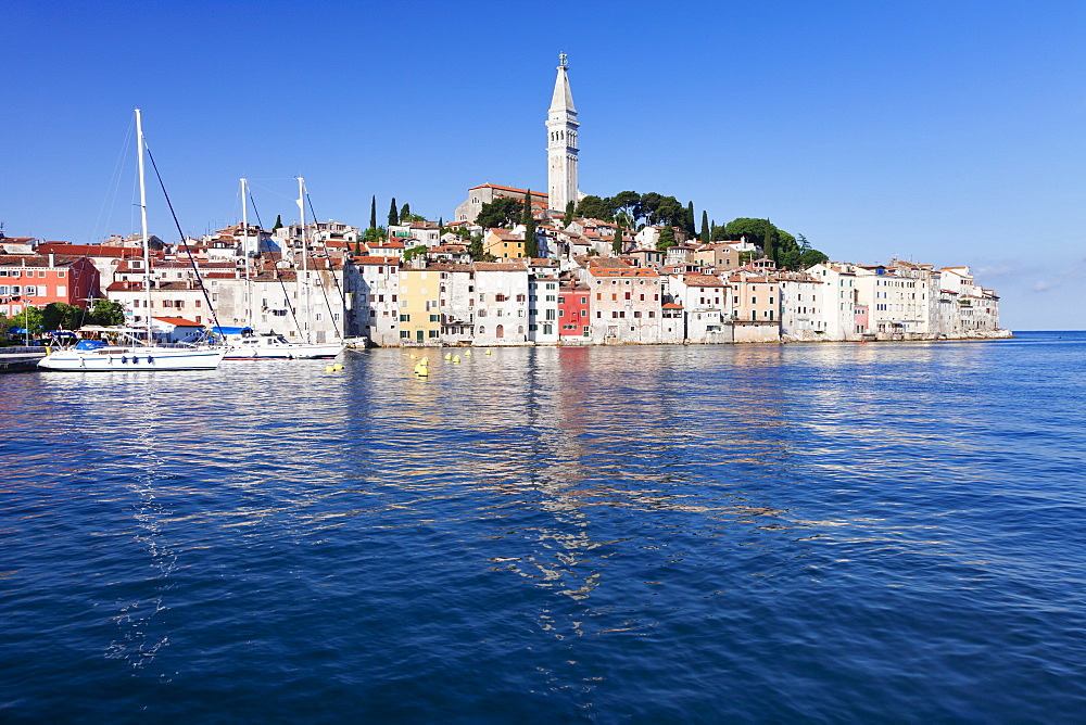 Old town and the cathedral of St. Euphemia, Rovinj, Istria, Croatia, Adriatic, Europe 