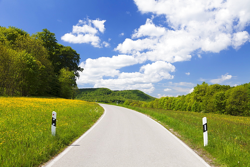 Road through a landscape with spring meadow, Swabian Alb, Baden Wurttemberg, Germany, Europe 