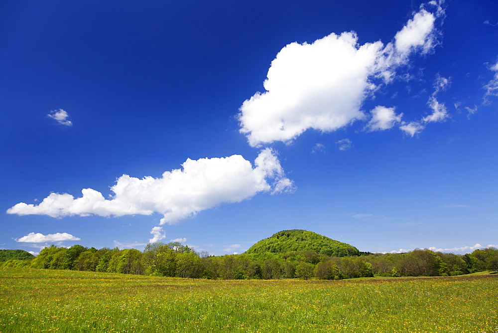 Rossberg mountain and meadow in spring, Swabian Alb, Baden Wurttemberg, Germany, Europe 