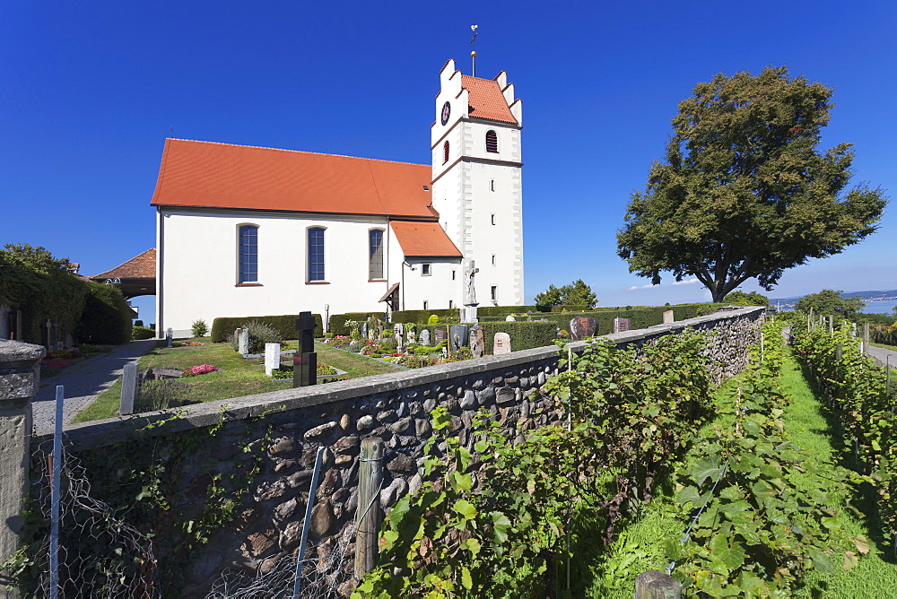 Church in Horn, Peninsula Hori, Lake Constance (Bodensee), Baden Wurttemberg, Germany, Europe 