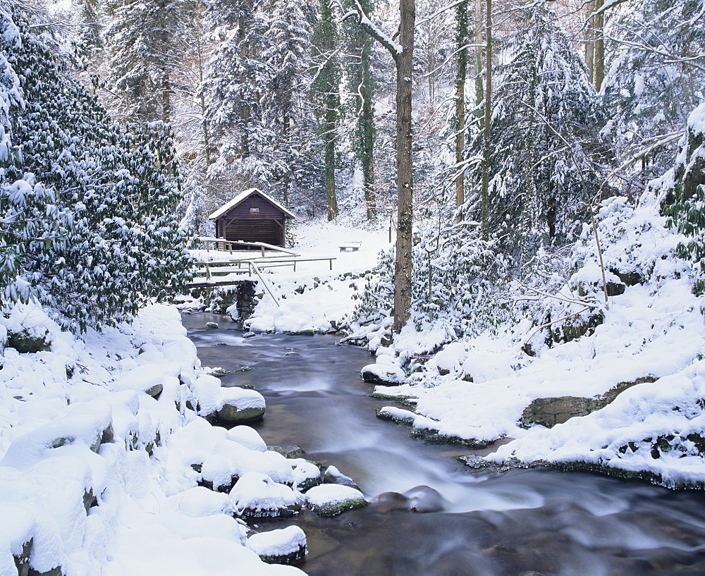 Cottage in a forest in winter, near Geroldsau Waterfall, Black Forest, Baden Wurttemberg, Germany, Europe