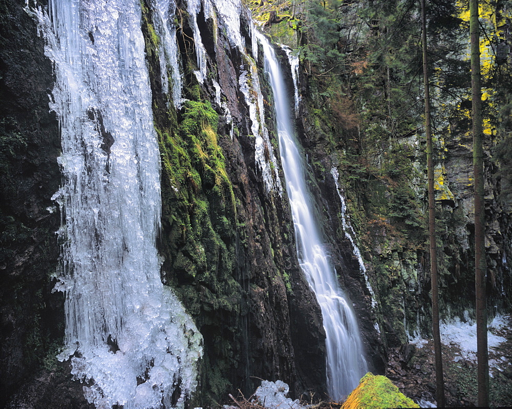 Ice sculptures, Burgbach Waterfall, Bad Rippldsau-Schappach, Black Forest, Baden Wurttemberg, Germany, Europe