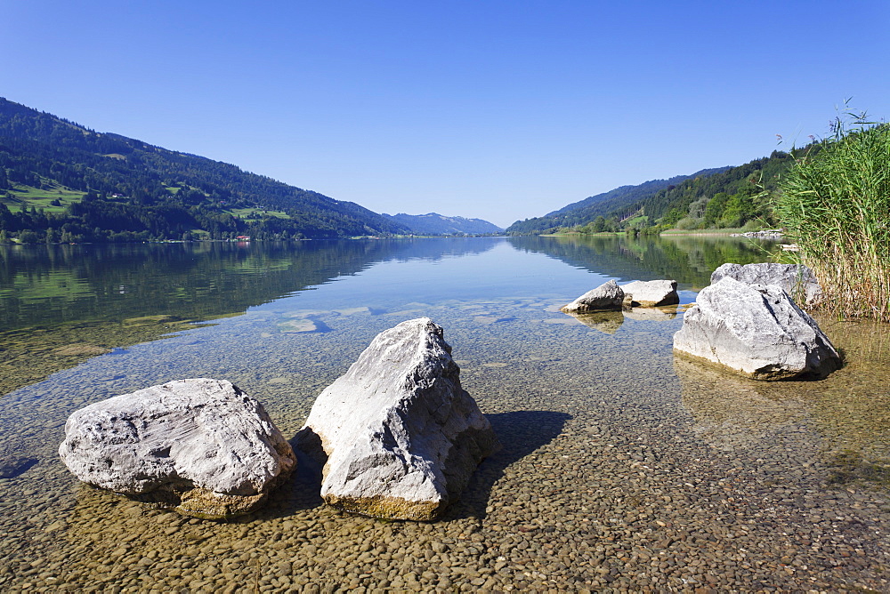 Alpsee Lake, Immenstadt, Allgau, Bavaria, Germany, Europe  