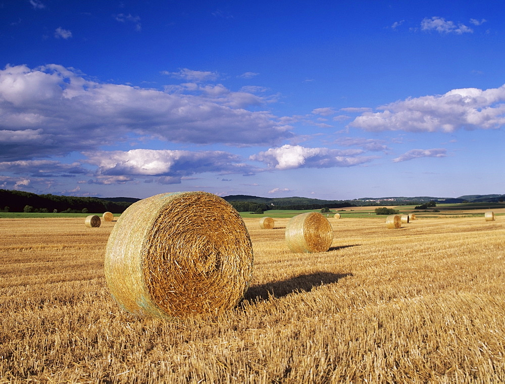 Straw bales, Swabian Alb, Baden Wurttemberg, Germany, Europe