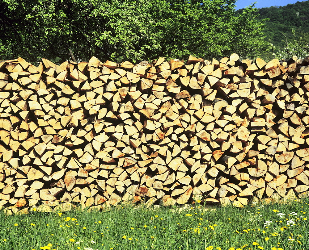 Wood pile, flower meadow, Swabian Alb, Baden Wurttemberg, Germany, Europe