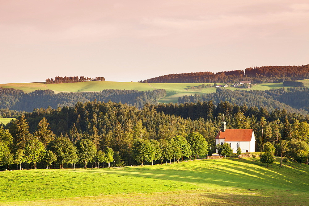 Chapel Ohmenkapelle, Sankt Margen, Black Forest, Baden Wurttemberg, Germany, Europe