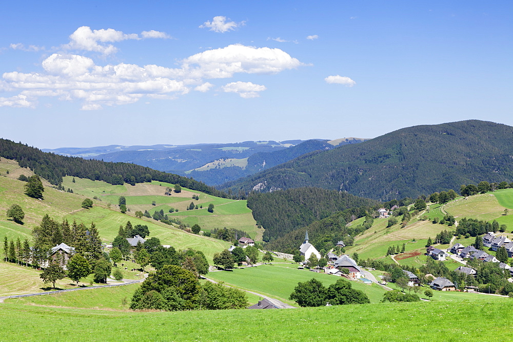 Hofsgrund, Schauinsland Mountain, Black Forest, Baden Wurttemberg, Germany, Europe